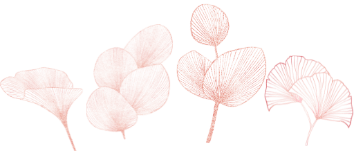 Filigrane Blätter in Rosa. 4 verschiedene Blattarten